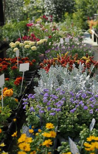 Foire de printemps_Seyne