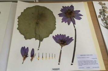 Atelier Herbier_Montclar