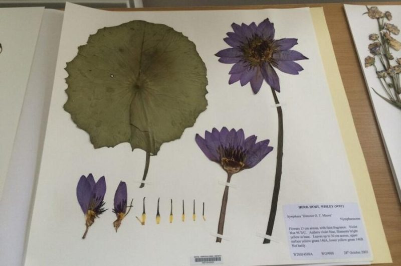 Atelier Herbier_Montclar