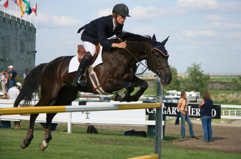 Concours de sauts d&rsquo;obstacles au centre équestre Les Ecuries de Seyne les Colombets_Seyne