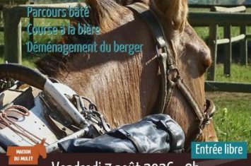 Mules en Seyne, Concours de bâtage et Jeux muletiers_Seyne