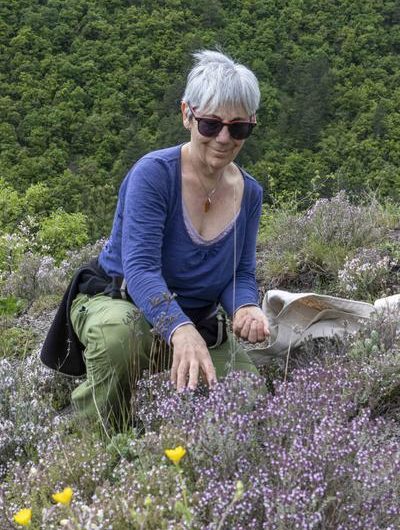 Balade découverte les plantes médicinales à Seyne
