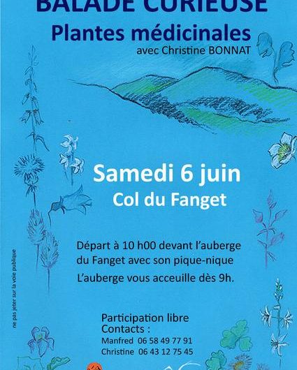 06 06 Balade plante.jpg