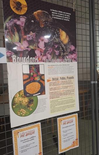 Exposition « les abeilles »_Montclar