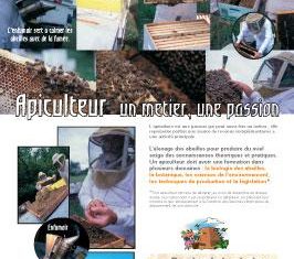 Exposition « les abeilles »_Montclar