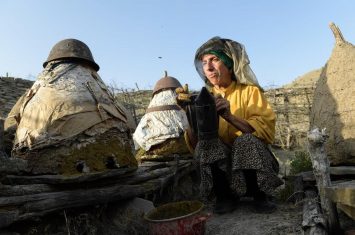 Projection de « Honeyland »_Montclar