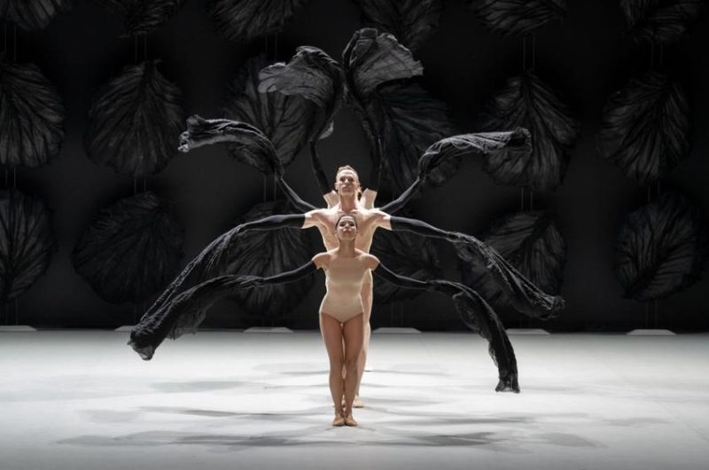 Les rendez-vous de la Micro Folie : Projection Ballet « Les Saisons »_Seyne