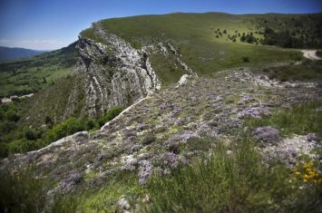 Environs de Digne