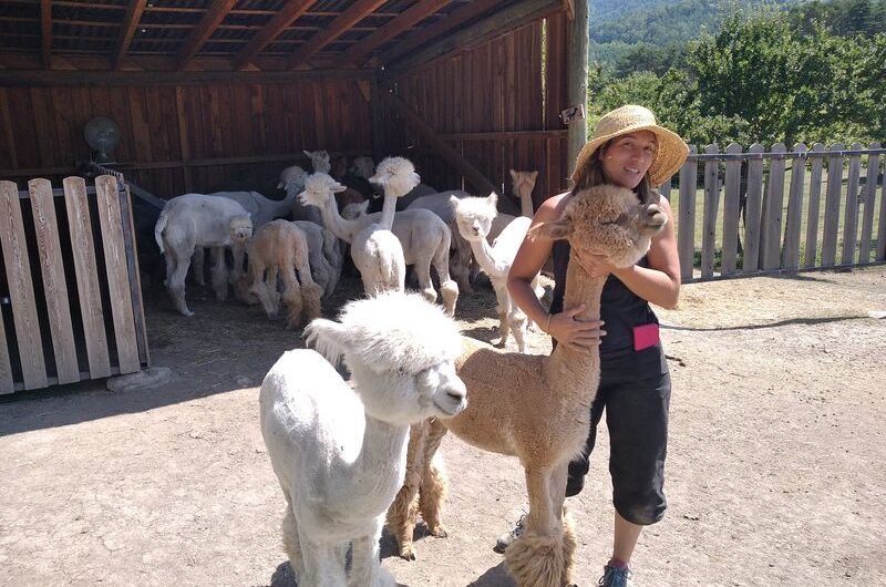 Ferme Au Doux Mélèze