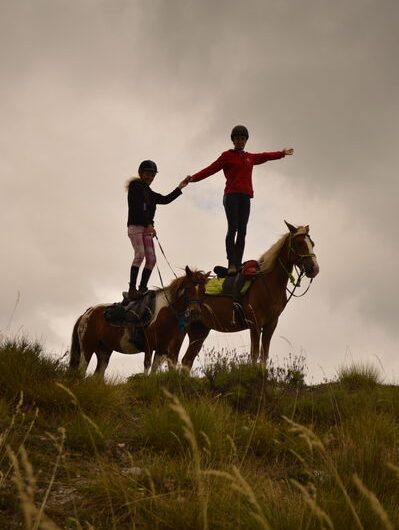 Les Chevaux de Roquépine