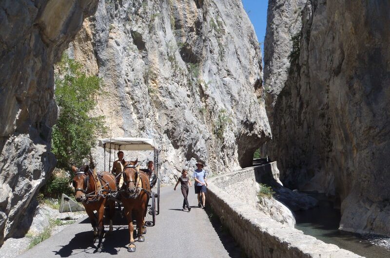 Les Chevaux de Roquépine