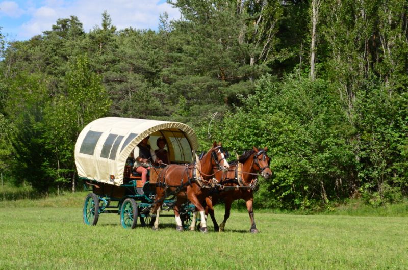 Les Chevaux de Roquépine